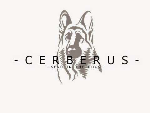 CERBERUS K9 AND SECURITY SERVICES NI photo